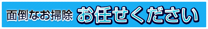 面倒なお掃除お任せください